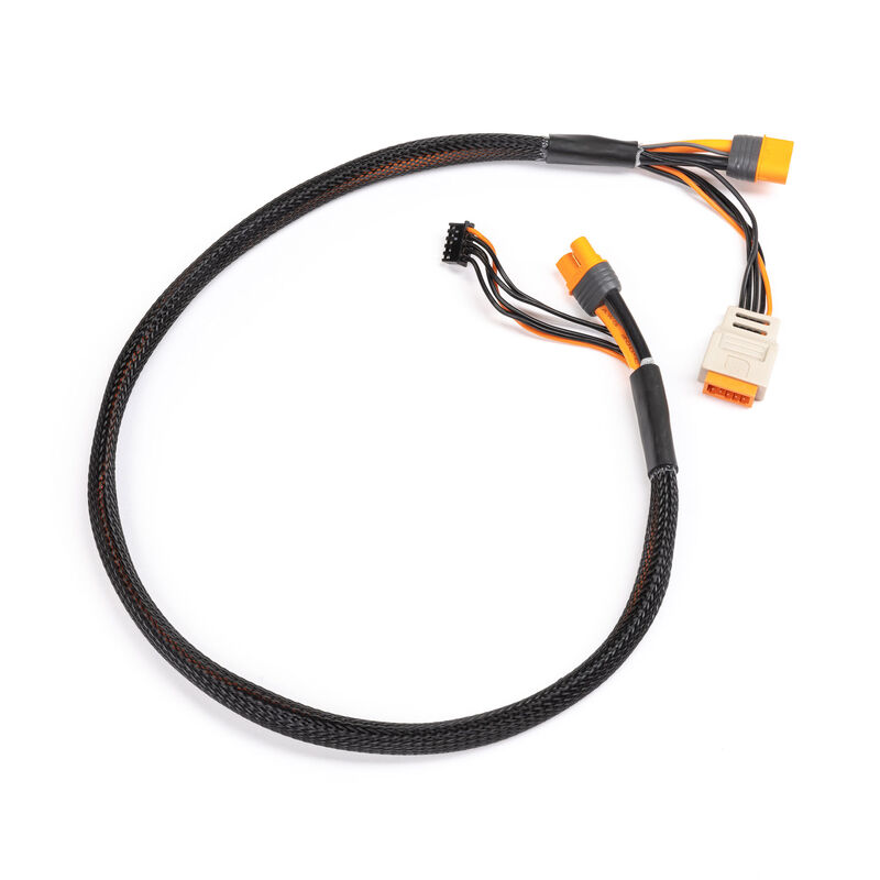 Charge Lead with Balance Extension 24" IC3, 2-6S