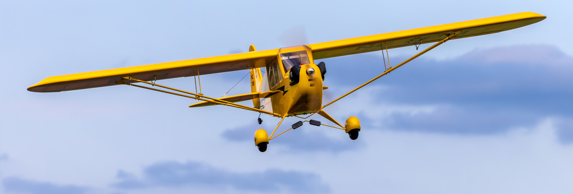 Order the Hangar 9 J-3 Cub 10cc RC Airplane