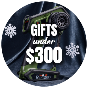 Gifts under $300